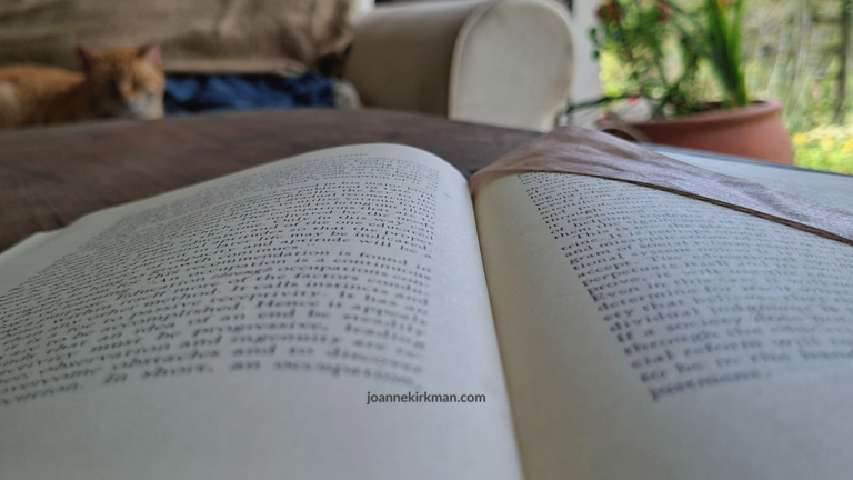 A quiet morning scene with an open book on a wooden table, soft natural light falling across the page.
