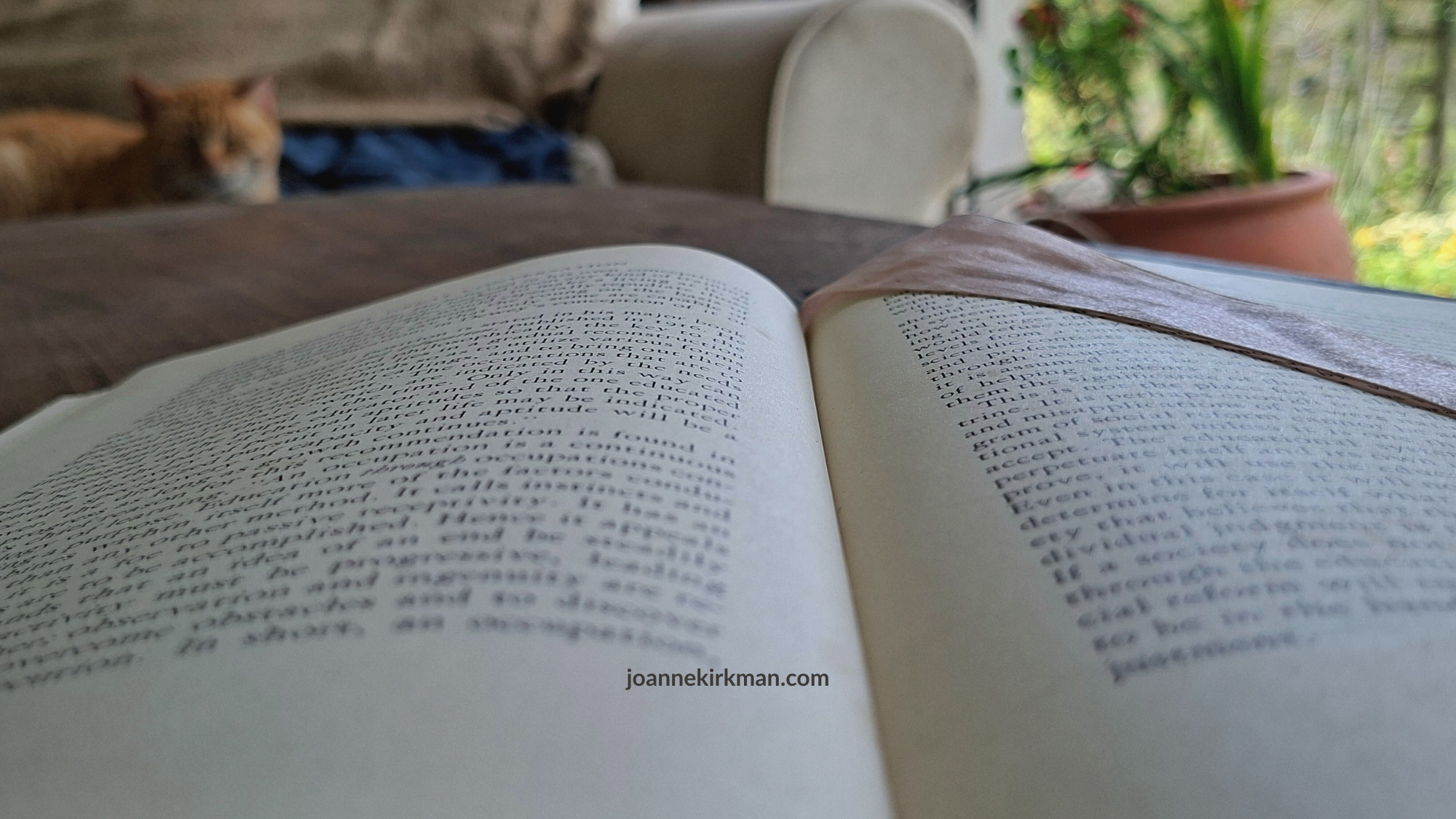 A quiet morning scene with an open book on a wooden table, soft natural light falling across the page.