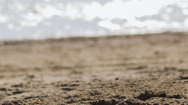 Soft-focus shoreline with textured sand and light reflecting on the sea.