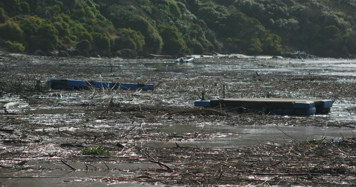 River surface with floating debris, including structures and branches, and houses along the far bank.
