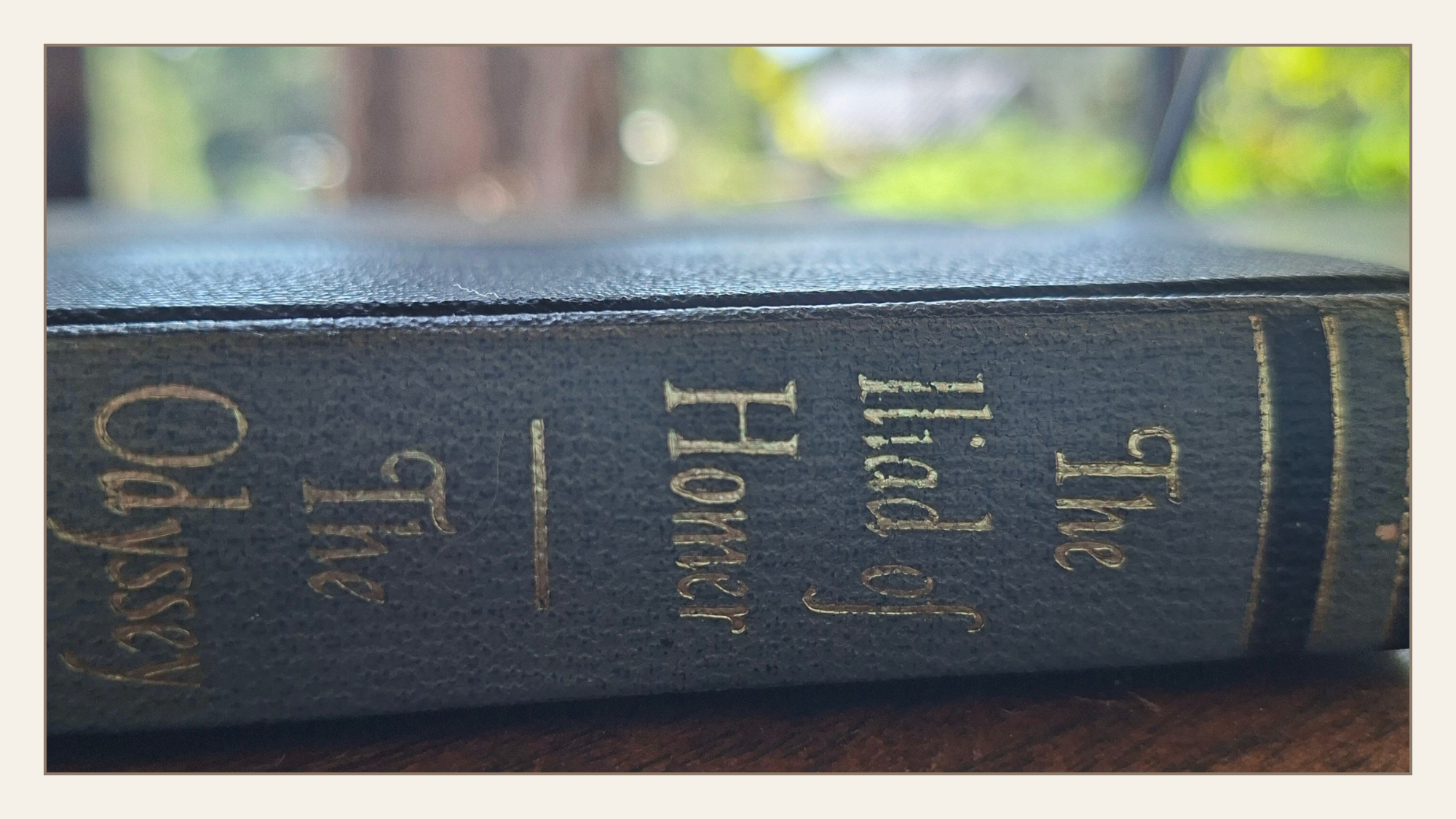 A worn copy of Homer’s Iliad and Odyssey resting on a wooden table in natural light, spine visible, suggesting order held in place