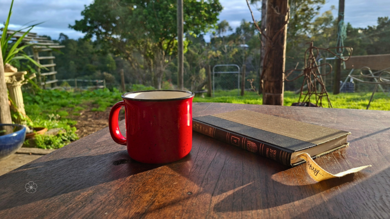 A closed Great Books volume and steaming red enamel mug on a sunlit wooden farm table, with a closed gate and rural landscape beyond.